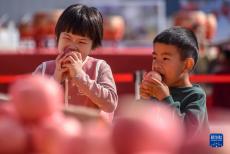 山東沂源：蘋果節(jié)助民增收