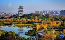 秋至西安世博園