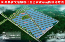 山西陽高縣羅文皂鎮(zhèn)冷棚設(shè)施蔬菜不“冷門”