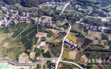 安徽廬江：鄉(xiāng)村美 農(nóng)旅熱