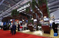 探訪第六屆進(jìn)博會主賓國展臺