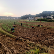 衡陽縣庫宗橋鎮(zhèn)：堅持實干擔(dān)當(dāng) 辦好民生實事