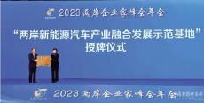 兩岸企業(yè)家峰會成果豐 合作項目多