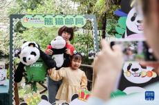 ?？冢簯c?！靶茇埿值堋钡菎u五周年