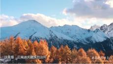 香格里拉通動(dòng)車