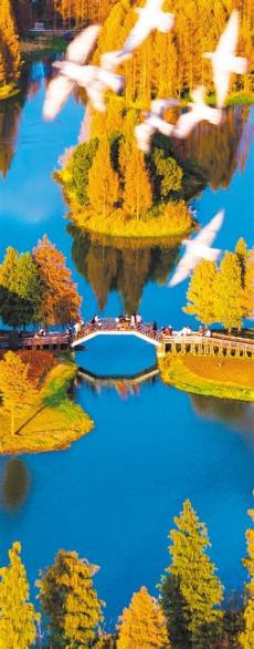 大美中國】五彩初冬