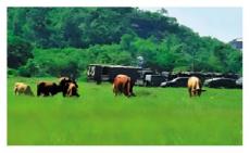 臺軍海上演練 漁民收獲量大減