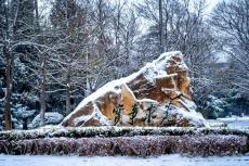 組圖：高校雪景“大賞”，快來看看你的大學(xué)有多美！