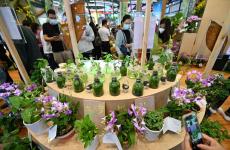 首設(shè)主賓國，冬交會(huì)“朋友圈”再擴(kuò)大