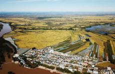 錨定農(nóng)業(yè)強國目標：中國全力推進鄉(xiāng)村振興