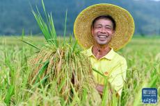 規(guī)劃來了！2024年，“三農(nóng)”工作這么干