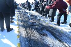 冬捕最大單網(wǎng)出魚(yú)量30萬(wàn)斤 黑龍江冷水養(yǎng)出“熱”經(jīng)濟(jì)