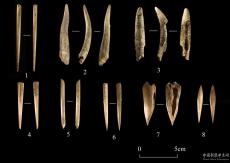天津首次發(fā)現(xiàn)舊、新石器時代過渡遺存