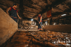 釀造酒傳統(tǒng)釀造技藝入選第六批省級非物質文化遺產(chǎn)項目