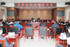 聽訴求 謀發(fā)展丨衡陽高新區(qū)舉行企業(yè)家座談會(huì)