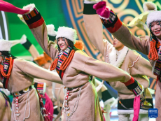 藏歷新年聯(lián)歡會上賞多彩民族文化