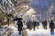 河南部分地區(qū)迎來降雪