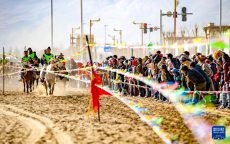 新春走基層丨西藏山南森布日舉行賽馬活動