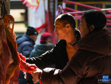 川青鐵路帶火新“高原三寶”