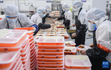 探訪“荊楚味”高鐵“后廚”