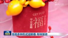 各地多種形式迎新春 年味漸濃