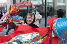 匈牙利民眾唐人街廟會感受中國年味