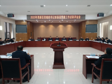 衡陽高新區(qū)召開黨組織書記抓基層黨建工作述職評議會