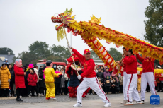 長(zhǎng)沙：陶公廟會(huì)迎元宵