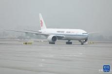 大熊貓“冰星”“花嘴巴”及其幼崽平安抵達(dá)成都