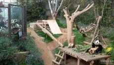 旅韓大熊貓“福寶”回國(guó)前最后一次與公眾見面