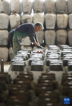 浙江紹興：千年黃酒的新時尚