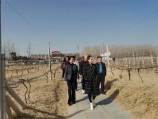 “帝森酒莊”杯抖音短視頻大賽頒獎(jiǎng)儀式舉行