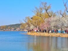 北京：春分好時(shí)光