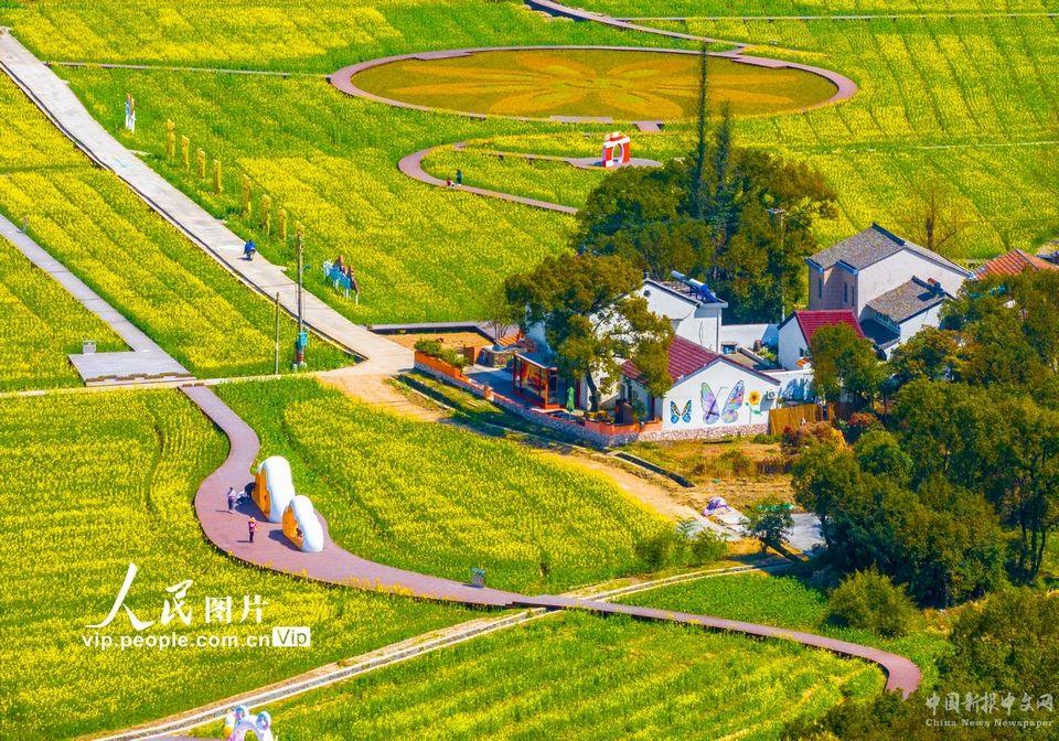 2024年3月20日，游客在浙江省寧波市鎮(zhèn)海區(qū)九龍湖鎮(zhèn)九龍湖村油菜花田中游玩賞花。