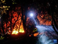 四川雅江山火撲救瞬間