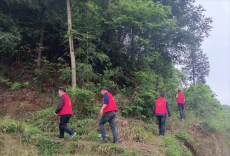 隆回縣金石橋鎮(zhèn)：巡山小分隊，扛起森林防火的重任