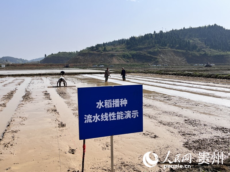 水稻播種“良法”演示現(xiàn)場(chǎng)。人民網(wǎng) 陳潔泉攝