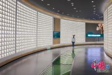 萬(wàn)千氣象看云南｜鳳慶擦亮“中國(guó)核桃之鄉(xiāng)”名片