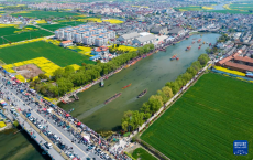 江蘇興化：茅山會(huì)船 百舸爭(zhēng)流