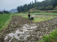 隆回縣金石橋鎮(zhèn)新花園村青年返鄉(xiāng)當起了 “新農(nóng)人”