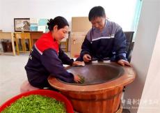 安徽廬江：新農(nóng)人 新茶人