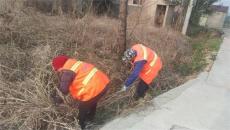 “五老”——農(nóng)村環(huán)境的“守護(hù)人”