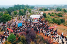 湖南茶陵舉辦首屆民間“杜鵑為媒 ‘王婆’相約”相親大會