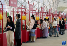 上海：逛國風(fēng)市集 展華服魅力