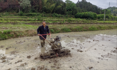 綏寧縣關(guān)峽苗族鄉(xiāng)：“鐵牛”下田助力春耕水稻生產(chǎn)