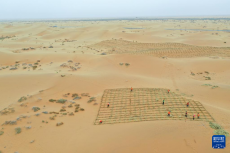 春日騰格里 治沙正當(dāng)時(shí)