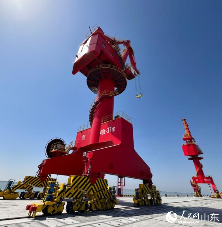 廣利港區(qū)通用碼頭的門機(jī)和履帶吊。人民網(wǎng) 喬姝攝