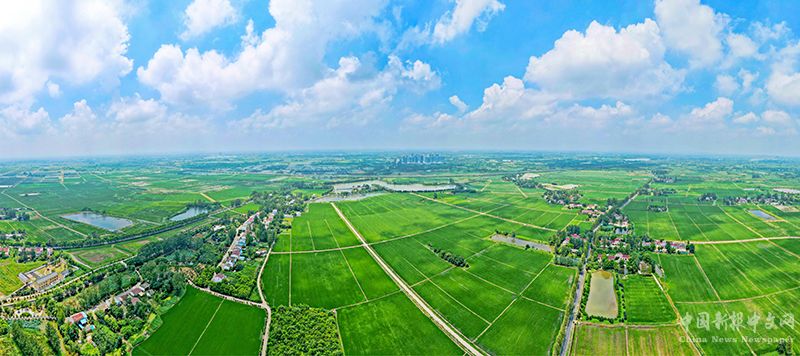 航拍大黃村。肥西縣文明辦供圖