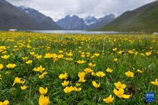 堅(jiān)持以高水平保護(hù)支撐高質(zhì)量發(fā)展