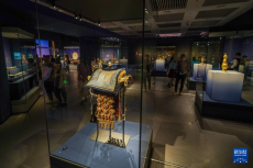 布達拉宮特展亮相揚州中國大運河博物館